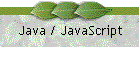 Java / JavaScript