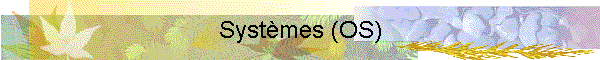 Systmes (OS)