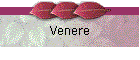 Venere